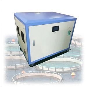 concentratore di ossigeno medico 1