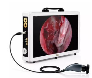 fotocamera per endoscopio 1