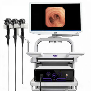 videoprocessore per endoscopia