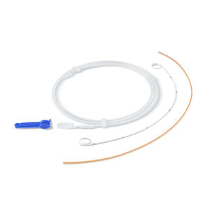stent ureterale 1