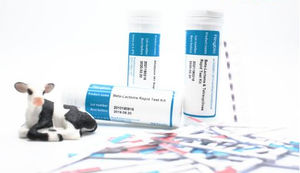 test rapido veterinario