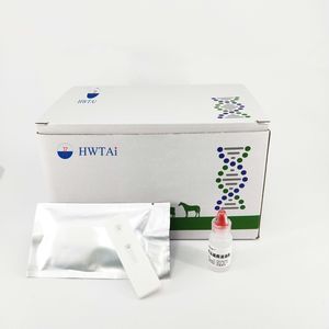 test rapido per malattie gastrointestinali