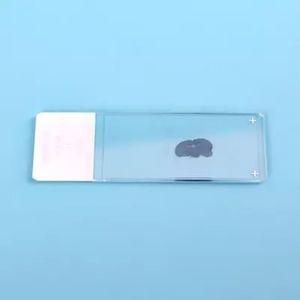 vetrino per microscopio per immunoistochimica 1