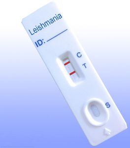 test rapido di Leishmania