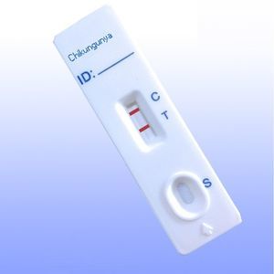 test rapido della chikungunya 1