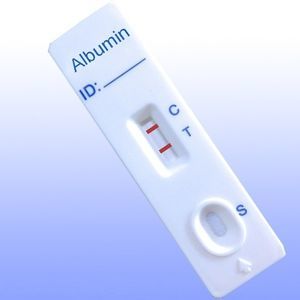 striscia analitica di profilo urinario 1