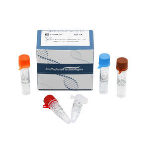 kit di test del virus Zika