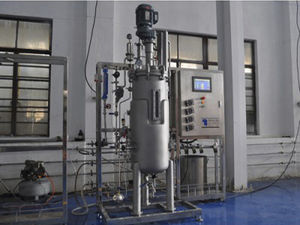 bioreattore da laboratorio