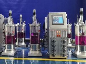 bioreattore da laboratorio