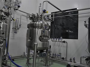 bioreattore da laboratorio