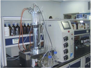 bioreattore da laboratorio