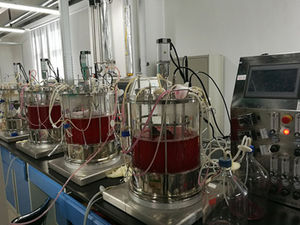 bioreattore da laboratorio
