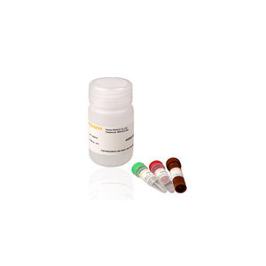 kit di test microbiologico