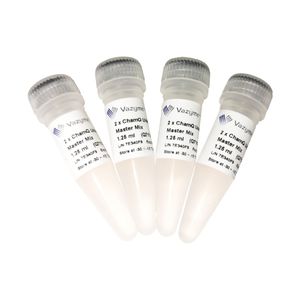 reagente DNA polimerasi