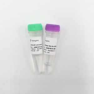 kit di reagenti DNA polimerasi 1