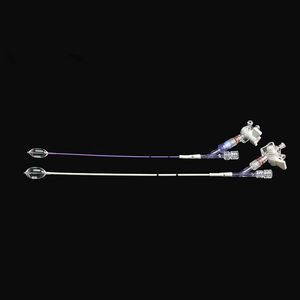 sistema di aumento vertebrale palloncino