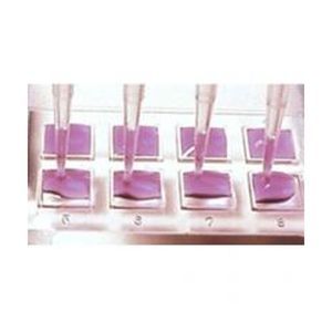 piastra microarray per PCR