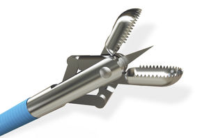 pinza per endoscopia 1