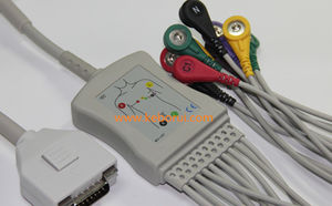 cavo ECG 1