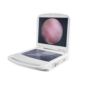 telecamera per endoscopio 1