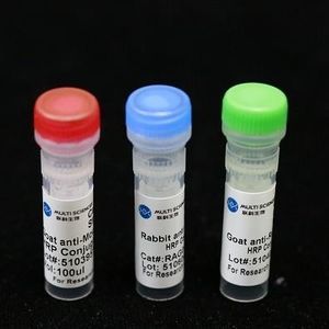 reagente anticorpo monoclonale 1