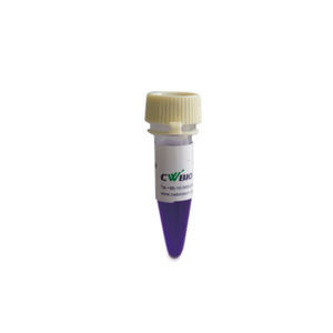 reagente DNA polimerasi