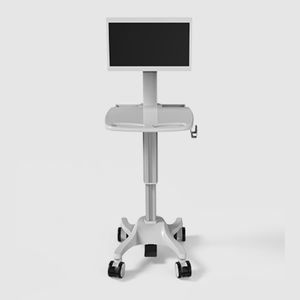 carrello informatico 1