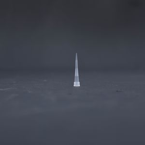 puntale di pipetta sterile 1