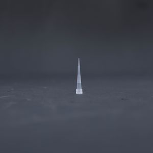 puntale di pipetta sterile 1