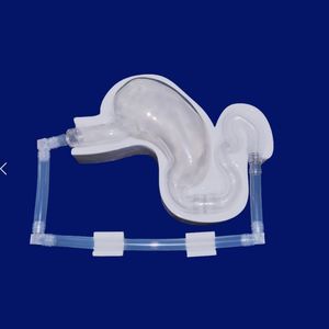 modello anatomico di stomaco 1