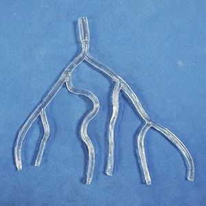 modello anatomico di arteria 1