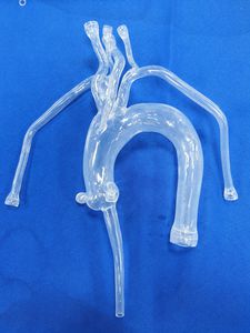modello anatomico cardiaco 1