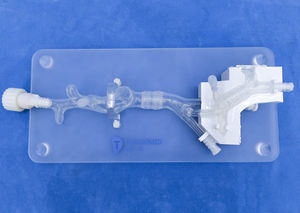 modello anatomico cardiaco 1