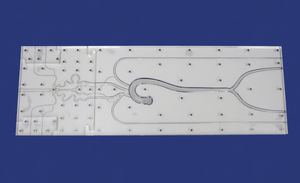 modello anatomico intracranico 1