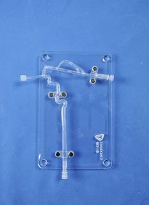 modello anatomico di arteria 1
