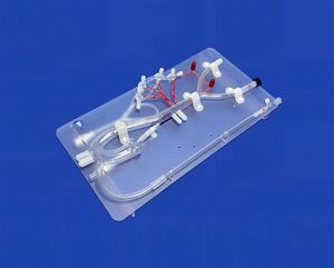 modello vascolare di arteria 1