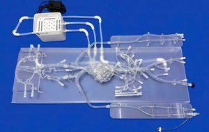 modello vascolare neurochirurgico 1