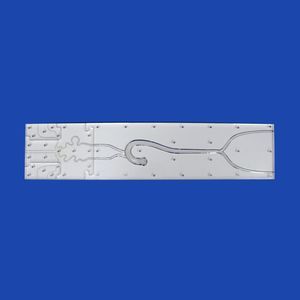 modello anatomico intracranico 1