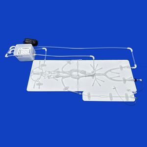modello vascolare intracranico 1