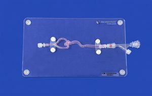 modello vascolare di arteria cerebrale media 1