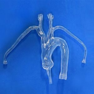 modello vascolare di arteria 1