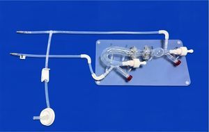 modello vascolare aorta addominale 1
