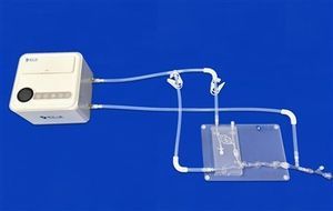 modello vascolare di arteria intracranica 1