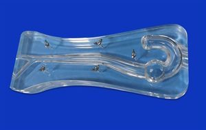 modello vascolare di tronco arterioso brachiocefalico 1