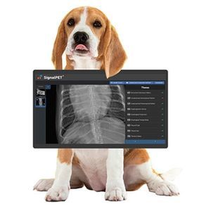 sistema di radiografia veterinaria digitale 1