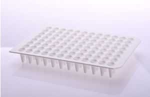 micropiastra per PCR