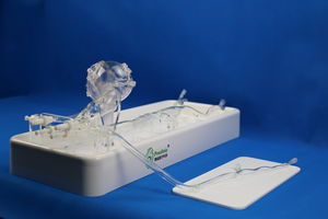 modello anatomico di arterie coronarie