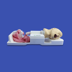modello anatomico di stomaco