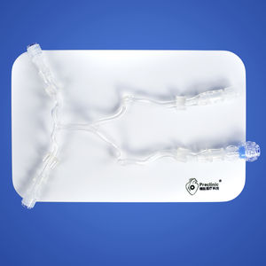 modello vascolare vertebrale
