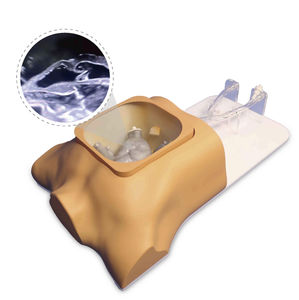modello vascolare di cuore